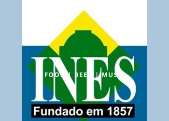 INES: Veja como se inscrever no curso de Pedagogia EAD