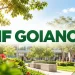 processo seletivo ifgoiano 2027
